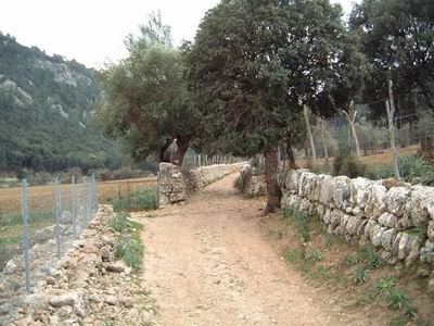 DSCF0081.JPG